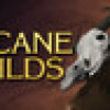 Games like Arcane Wilds