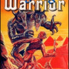 Games like Fighting Warrior