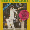 Games like Graham Gooch's Test Cricket