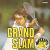 Games like Grand Slam: World Class Tennis