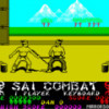 Games like Sai Combat