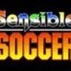 Games like Sensible Soccer (2005)