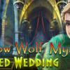 Games like Shadow Wolf Mysteries: Cursed Wedding Collector's Edition