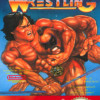 Games like Tecmo World Wrestling