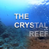 Games like The Crystal Reef