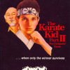 Games like The Karate Kid: Part II - The Computer Game