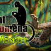 Games like Twilight Phenomena: Strange Menagerie Collector's Edition