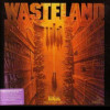 Games like Wasteland