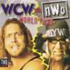 Games like WCW vs. NWO: World Tour